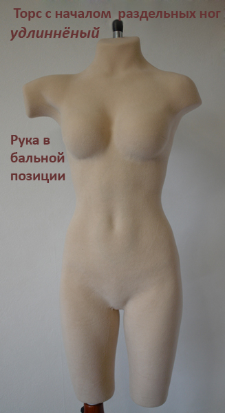 Торс удлинненый